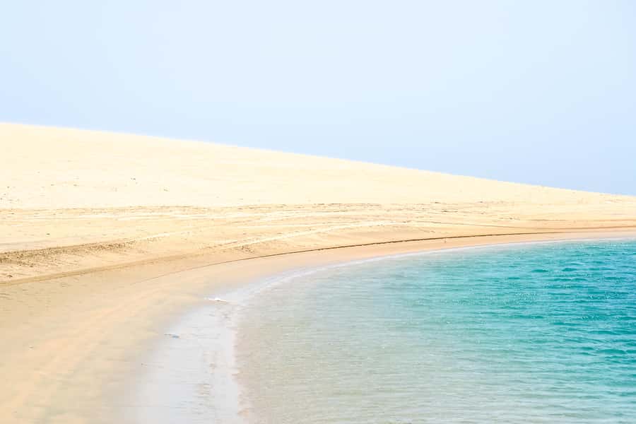 Doha: Safari, ATV, Camels, Sandboarding and Inland Sea Tour - What the $32 price really covers