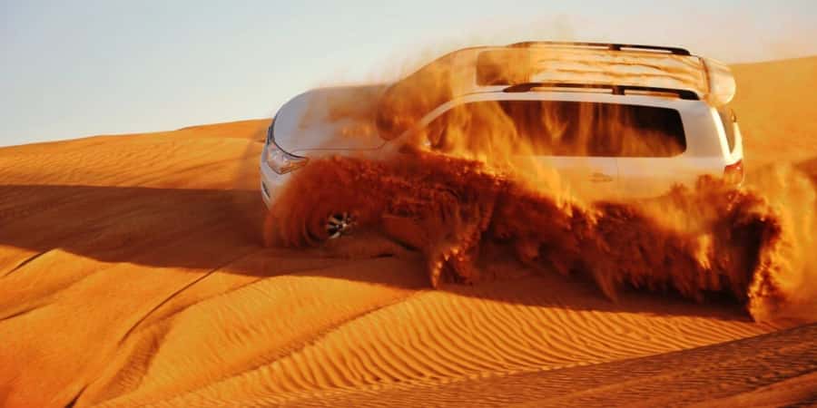 Doha: Safari, Camel Ride, Sandboarding and Inland Sea Tour - Meeting the Inland Sea near Sealine Beach