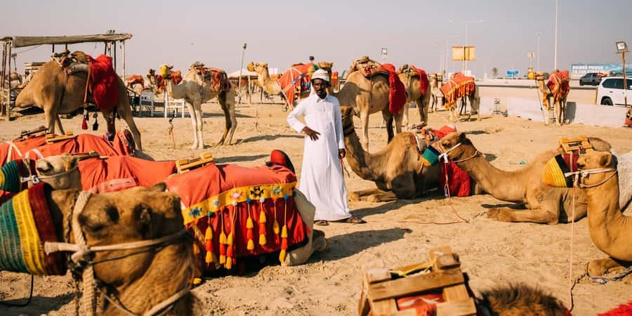 Doha: Safari, Camel Ride, Sandboarding and Inland Sea Tour - The guides are part of the value
