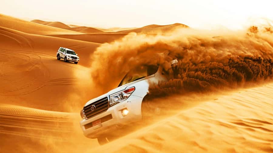Doha: Safari, Camel Ride, Sandboarding and Inland Sea Tour - Guides, vehicles, and the human side of the tour