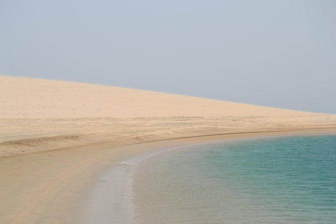 Doha: Safari, Dune bashing, Camel Ride, Sandboarding & Inland Sea - Khor Al Adaid, where sand meets sea