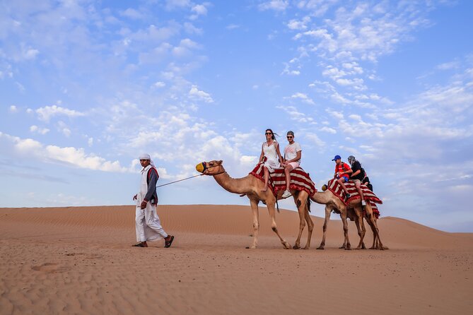 Doha: Safari, Dune bashing, Camel Ride, Sandboarding & Inland Sea - Dune bashing across Qatar’s sand
