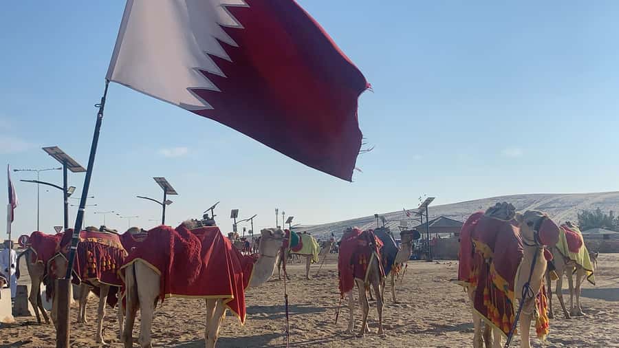 Doha: Safari | Inland Sea Tour | Camel Ride | Sandboarding - Sealine Beach and the 20-minute camel ride