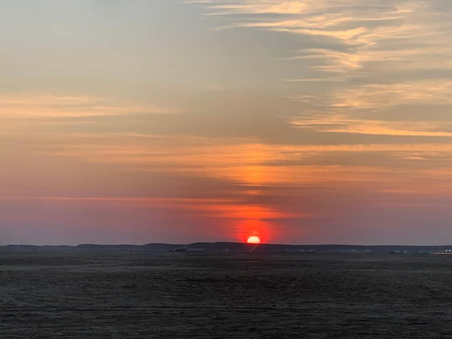 Doha: Safari | Inland Sea Tour | Camel Ride | Sandboarding - What the $60 price really covers