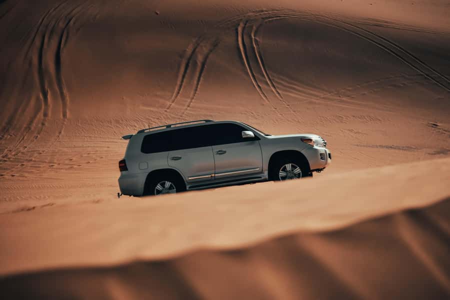 Doha:Safari Tour with Lunch/Dinner in Desert by the Sea Side - Why the Inland Sea Makes This Qatar Safari Special