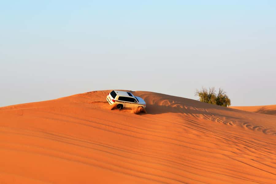 Doha:Safari Tour with Lunch/Dinner in Desert by the Sea Side - The Sealine Beach Camp and BBQ Meal