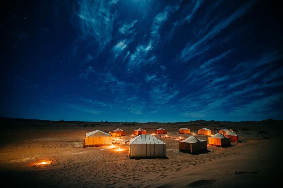 Doha:Safari Tour with Lunch/Dinner in Desert by the Sea Side - Safety, Comfort, and Who Should Skip It