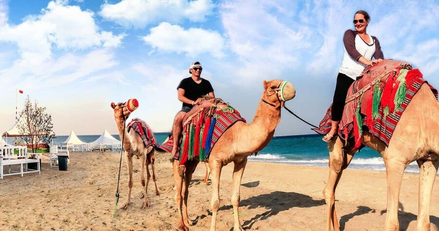 Doha Safari with Camel Ride, Inland Sea & Hotel Transfer - Khor Al Adaid, where dunes meet the sea