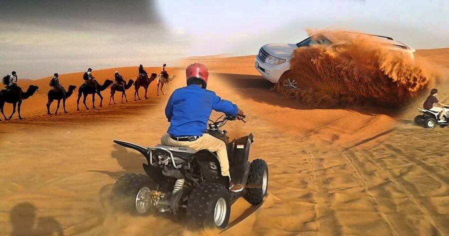 Doha Safari with Camel Ride, Inland Sea & Hotel Transfer - What the four-hour schedule means for you