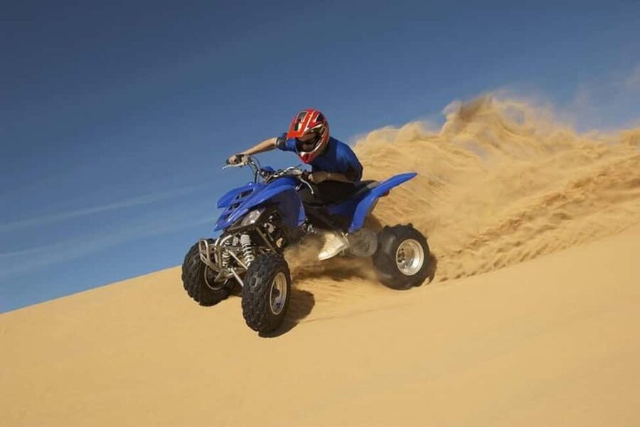 Doha Safari with Camel Ride, Inland Sea & Hotel Transfer - Simple tips for getting more from the outing