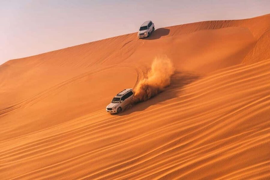 Doha Safari with Camel Ride, Inland Sea & Hotel Transfer - A short camel ride at the Bedouin stop