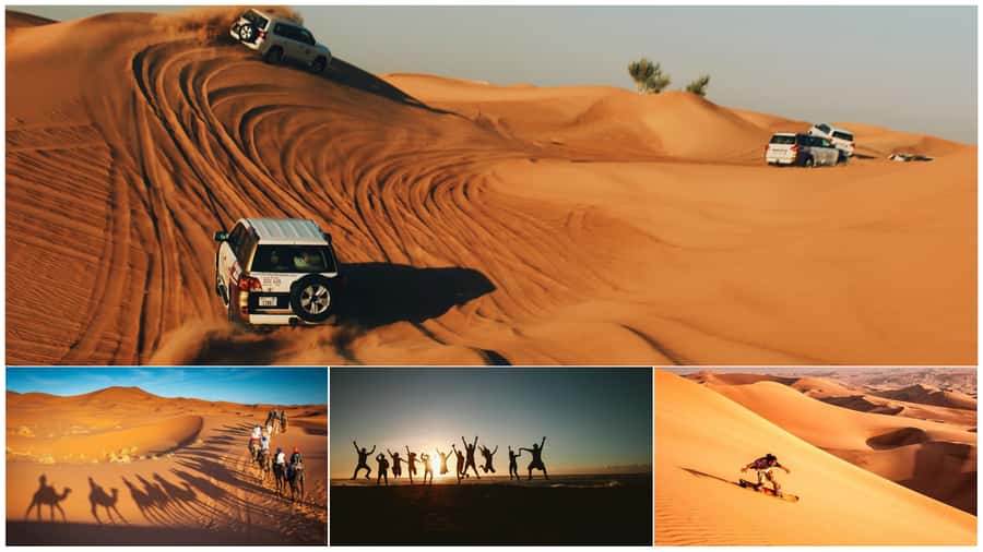 Doha: Shared Desert Safari, Sandboarding, Camel Ride - Why this short safari works so well