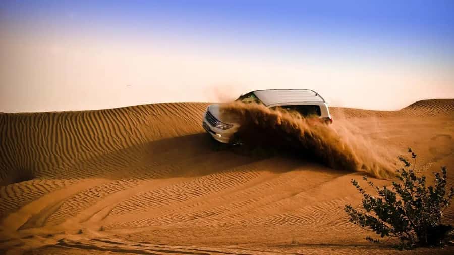 Doha: Shared Desert Safari, Sandboarding, Camel Ride - The 4x4 ride across the dunes