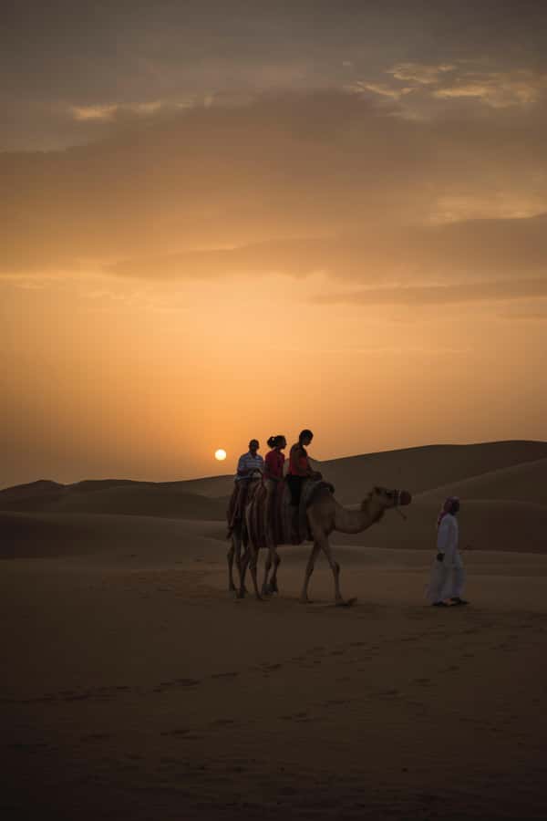 Doha: Shared Desert Safari, Sandboarding, Camel Ride - What the shared format means
