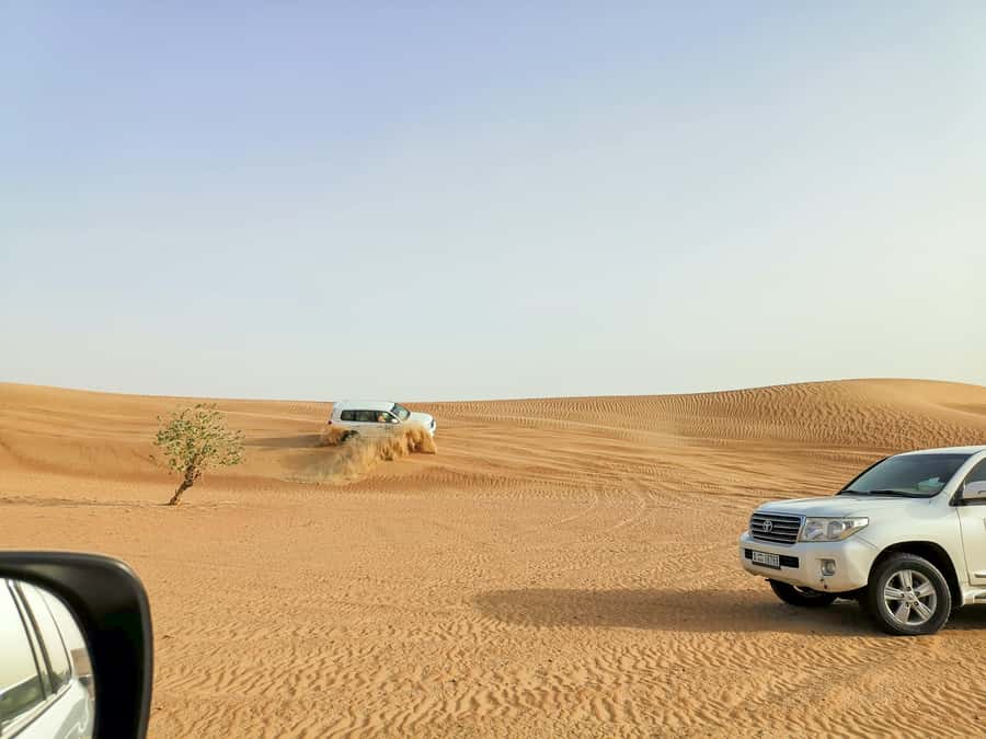 Doha: Shared Desert Safari, Sandboarding, Camel Ride - Meeting your driver at Sealine