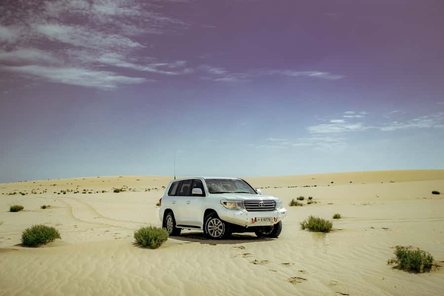 Doha: Sharing Desert Safari with Inland Sea visit - Who should book this desert safari?
