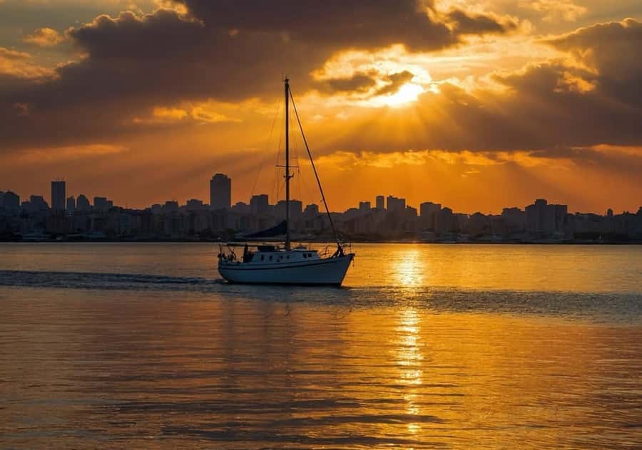 Doha: Speed Boat Adventure – 1 Hour Thrill Ride - The captain and the feel of the tour