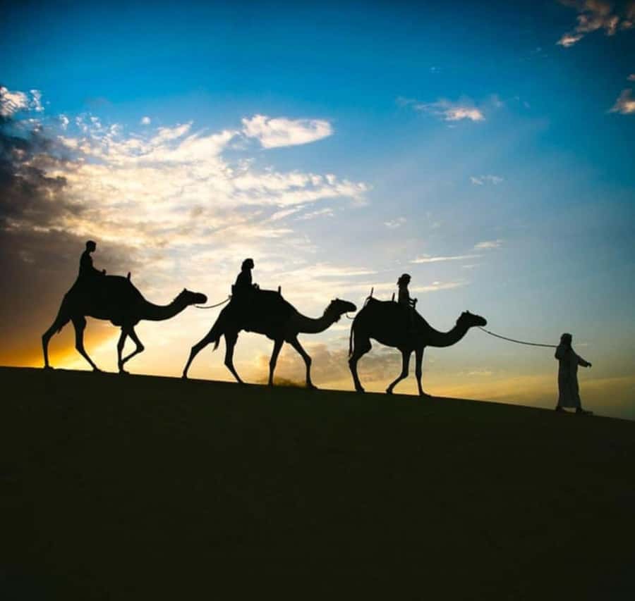 Doha: Stargazing Desert Safari w/ Dune Bashing & Camel Ride - From Doha to Sealine in an air-conditioned 4x4