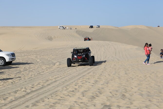 Doha; Sunrise Desert Tour and camel safari 4hrs - Sealine Beach, tea, camels, and falcons