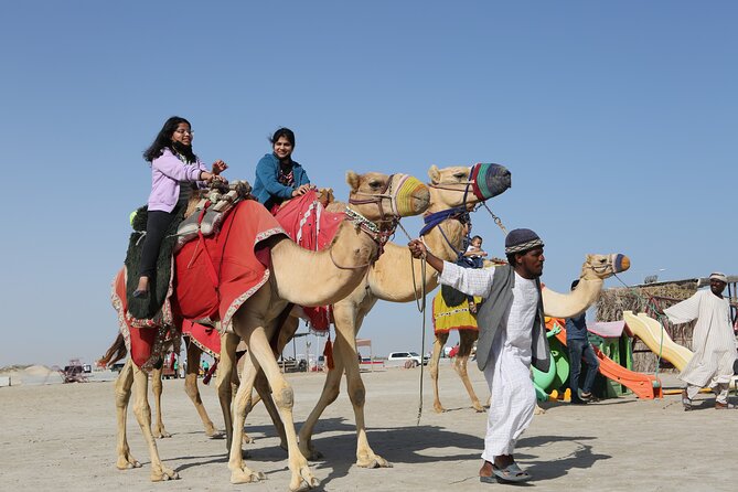 Doha; Sunrise Desert Tour and camel safari 4hrs - The Inland Sea and the desert meeting the Gulf