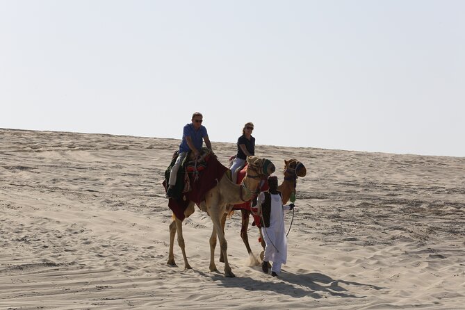 Doha; Sunrise Desert Tour and camel safari 4hrs - Practical details that improve the morning