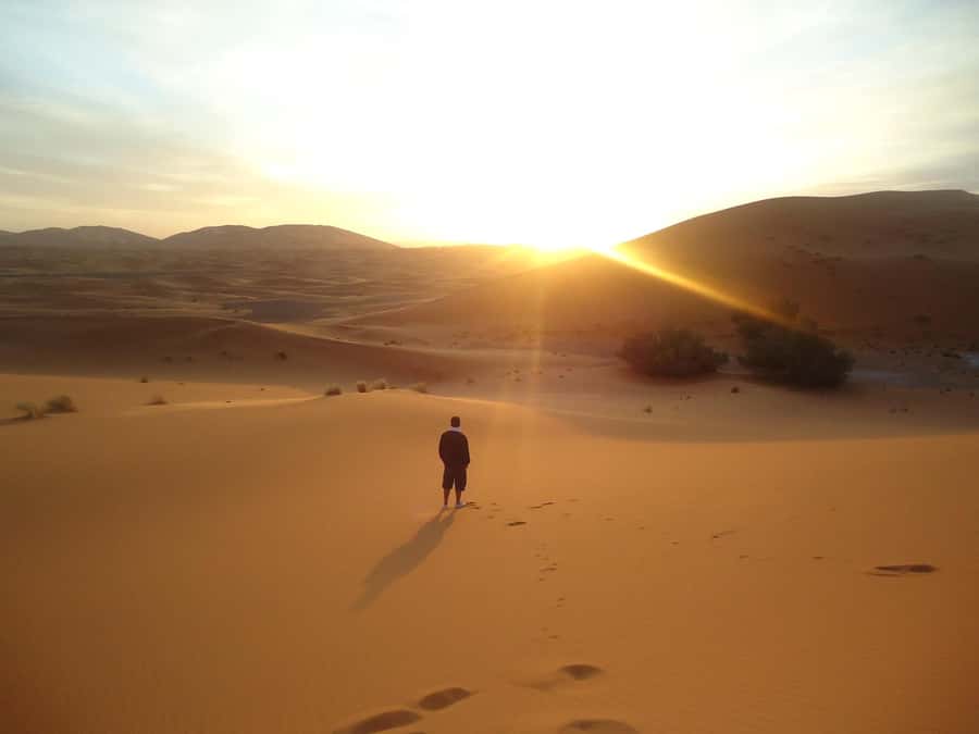 Doha:Sunrise or Sunset Desert Safari Tour with Sand Boarding - Key points to know before booking