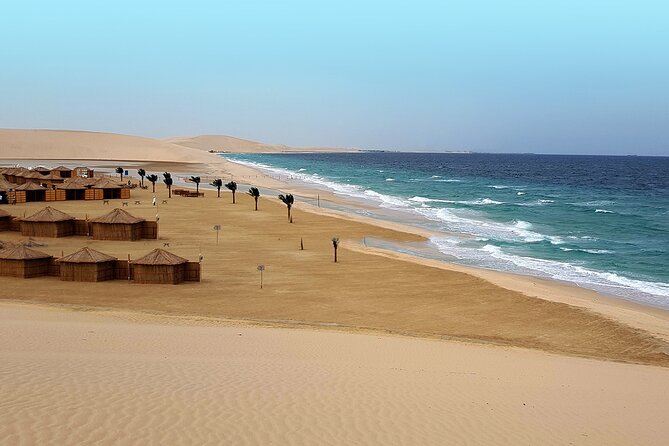 Doha: Sunrise /Sunset Desert Safari with Sand Boarding,Camel ride - Sand boarding with a view of the Gulf