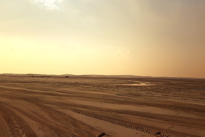Doha: Sunrise /Sunset Desert Safari with Sand Boarding,Camel ride - Is $49 a fair price?