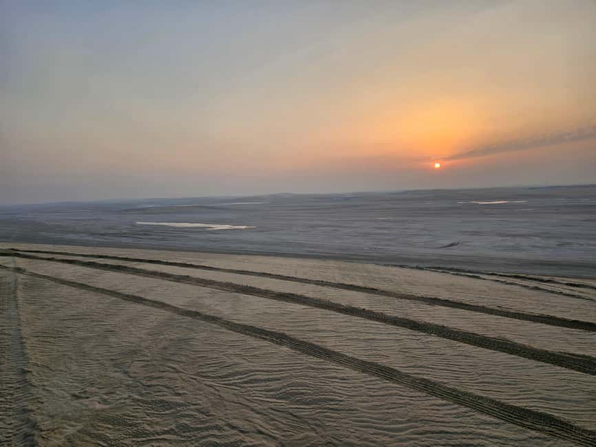 Doha Sunrise/Sunset or Night Stargazing desert safari. - One hour of dune bashing and sandboarding
