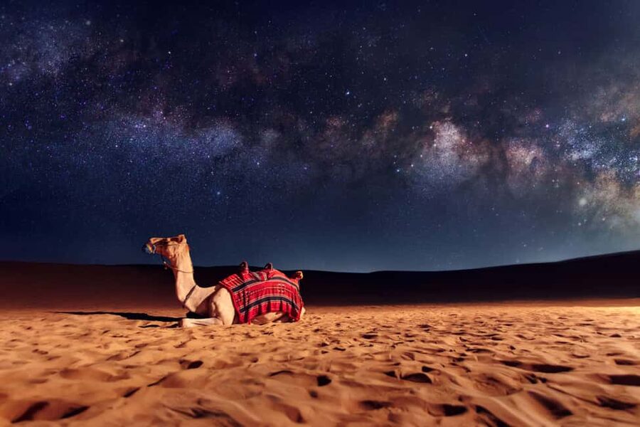 Doha: Sunset Desert Safari, ATV, Camel Ride and Sandboarding - The drive from Doha to the dunes