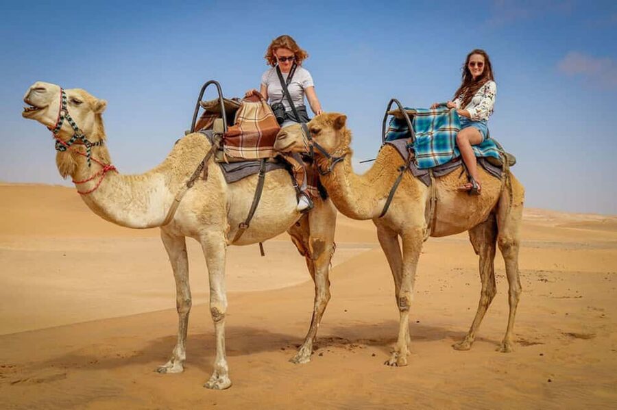 Doha: Sunset Desert Safari, ATV, Camel Ride and Sandboarding - Forty minutes of dune bashing