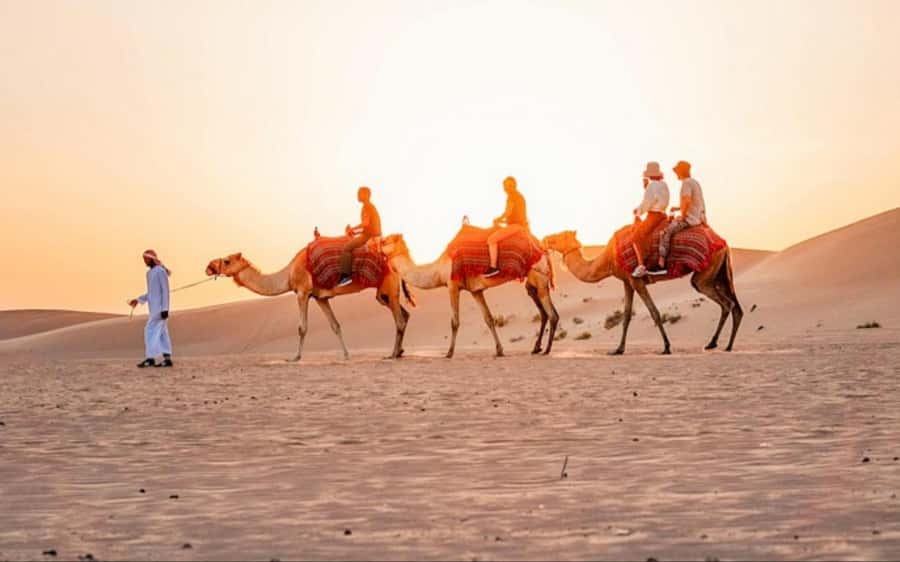Doha: Sunset Desert Safari with Camel Ride & Sandboarding - From Doha into Qatar’s open desert