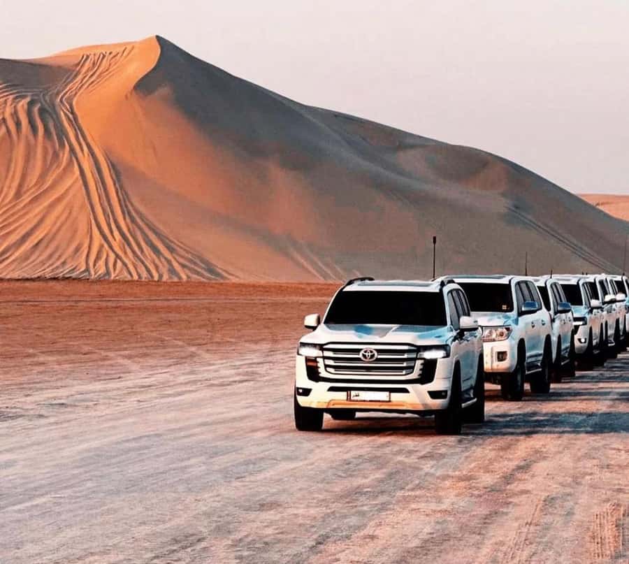 Doha: Sunset Desert Safari with Camel Ride & Sandboarding - Who should book this desert safari