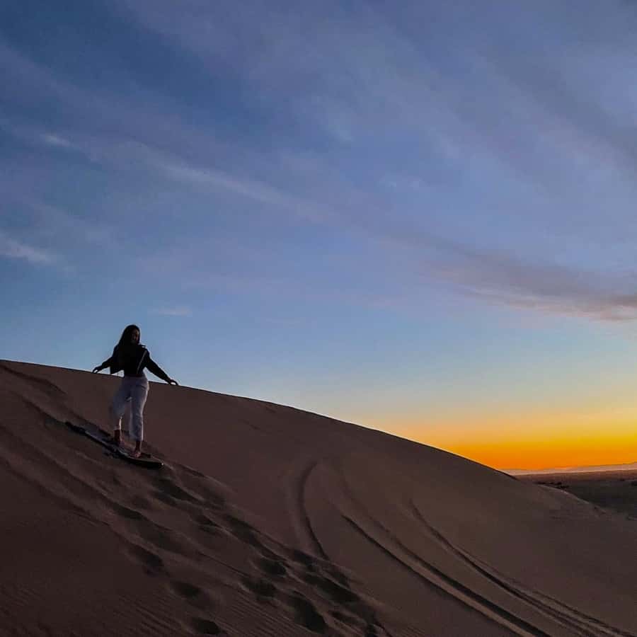 Doha: Sunset Safari, Dune Bashing, Sandboarding & Camel Ride - Dune bashing across Qatar’s golden sand