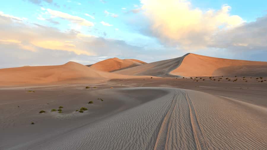 Doha: Sunset Safari, Dune Bashing, Sandboarding & Camel Ride - The Inland Sea and the final sunset