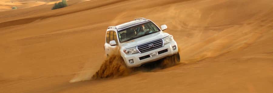 Doha: Thrilling 4x4 Desert Safari, Inland Sea-All Activities - Meeting camels before the rough ride