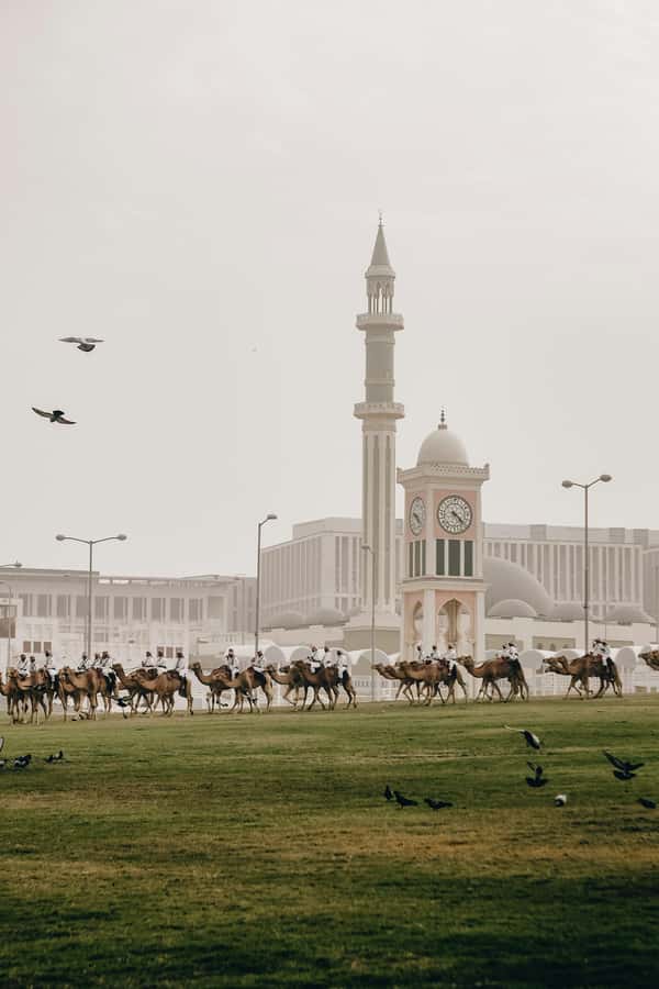Doha: Visit Cornishe, Pearl, Souq Waqif, Katara, Museum - Is $21 per person good value?