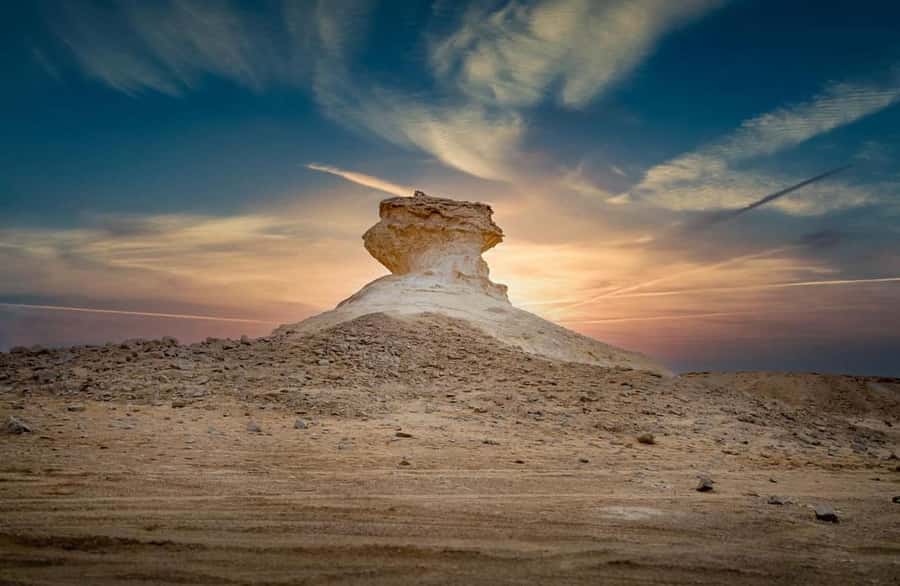 Doha: West Coast Qatar Tour, Sculptures, Camel Racing track - Zekreet Fort and the coastal ruins