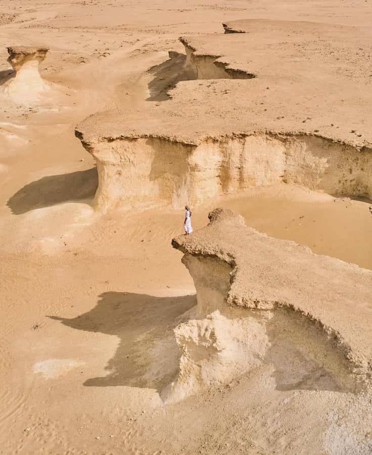 Doha: West Coast Qatar Tour, Sculptures, Camel Racing track - Guides, language, and the human side of the trip