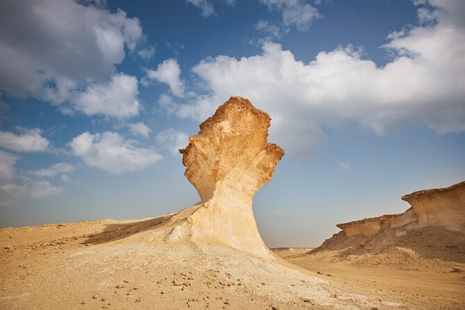 Doha : West Coast Tour on Zekreet Peninsula - What the private format changes