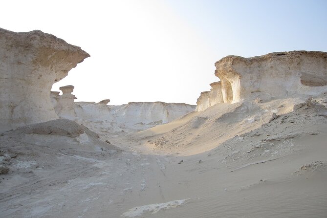 Doha : West Coast Tour on Zekreet Peninsula - Who will get the most from this tour