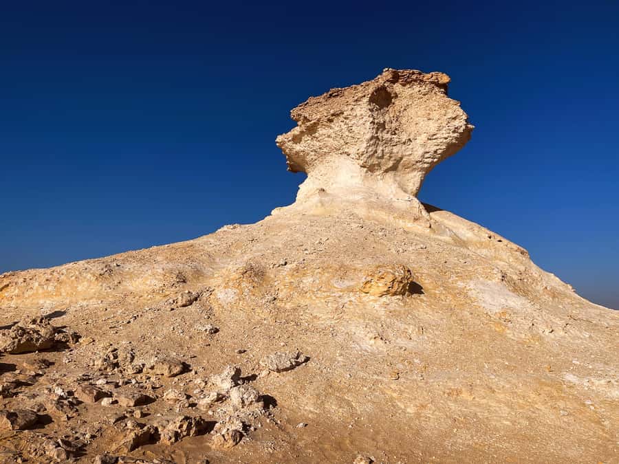 Doha: West Qatar Guided Journey With Pickup & Drop-Off - Why west Qatar makes a good half-day escape