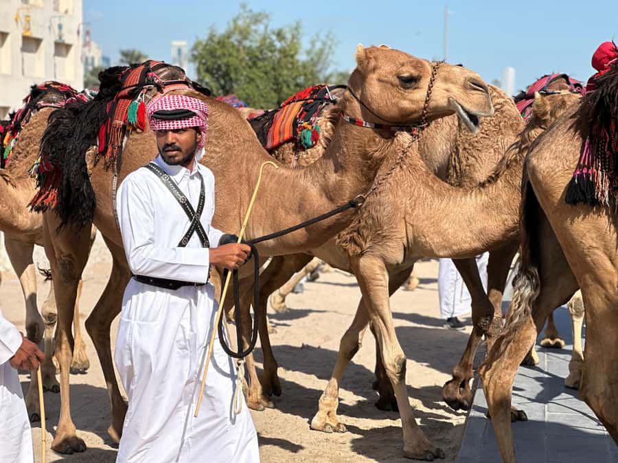 Doha: West Qatar Guided Journey With Pickup & Drop-Off - Reading Zekreet’s limestone shapes
