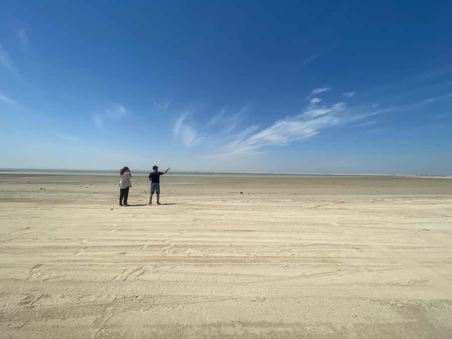 Doha: West Qatar Guided Journey With Pickup & Drop-Off - Richard Serra’s East-West/West-East in the desert