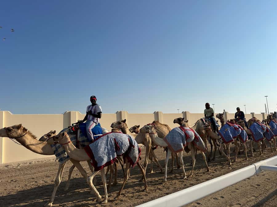 Doha: West Qatar Guided Journey With Pickup & Drop-Off - Who should book this west coast tour?