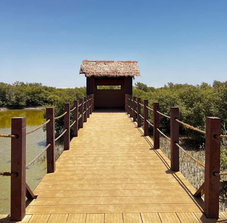 Doha: Zubara UNESCO Site, Mangroves & Jumail Village - The ride north from Doha