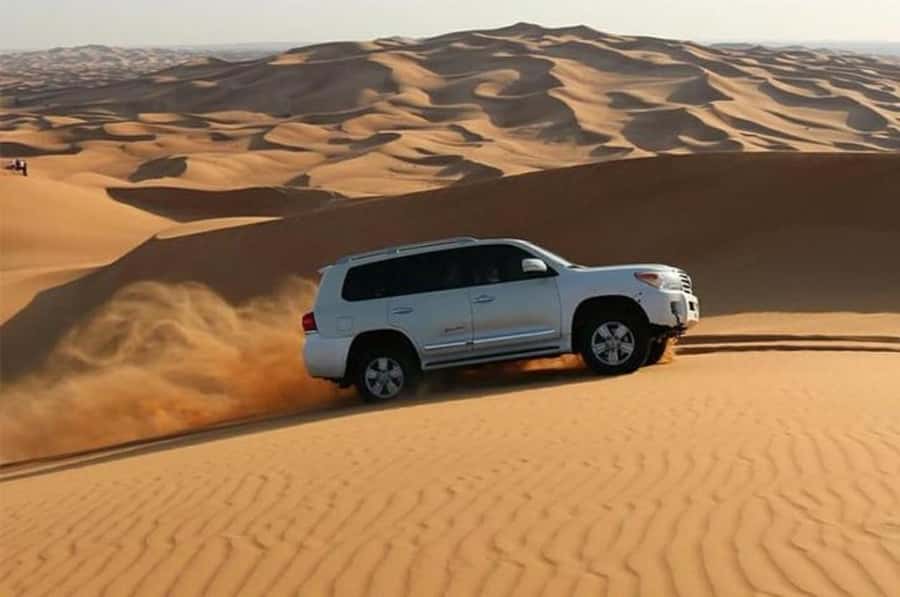 Dune Bashing &Beyond The Ultimate Desert Safari From Doha - Key points to know before booking