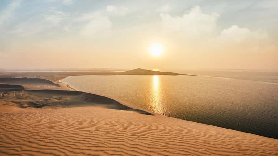 Dune Bashing &Beyond The Ultimate Desert Safari From Doha - A short camel ride, with an important condition