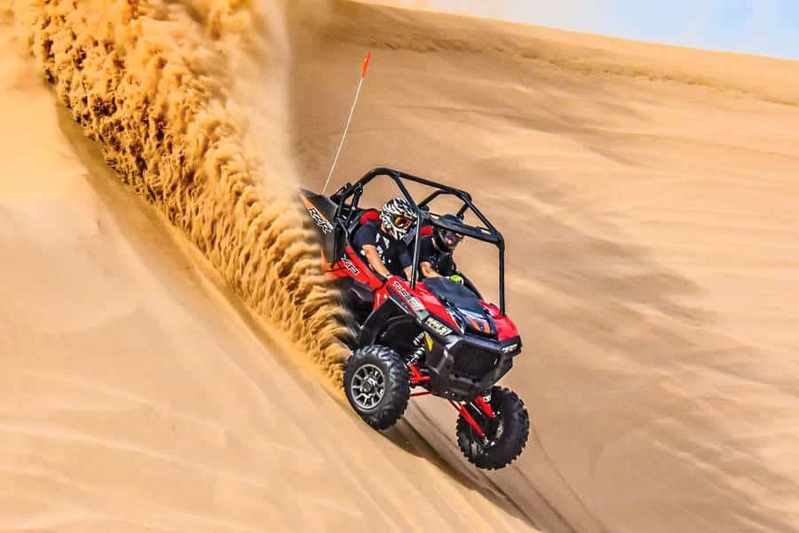 Dune Bashing &Beyond The Ultimate Desert Safari From Doha - What the guides add to the experience