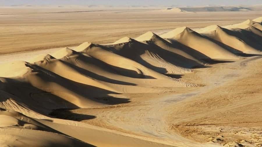 Dune Bashing, Sandboarding, Camel Ride & Optional ATV Ride - Leaving Doha in an air-conditioned 4x4